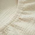 Ivory2.jpg
