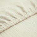 Ivory2.jpg